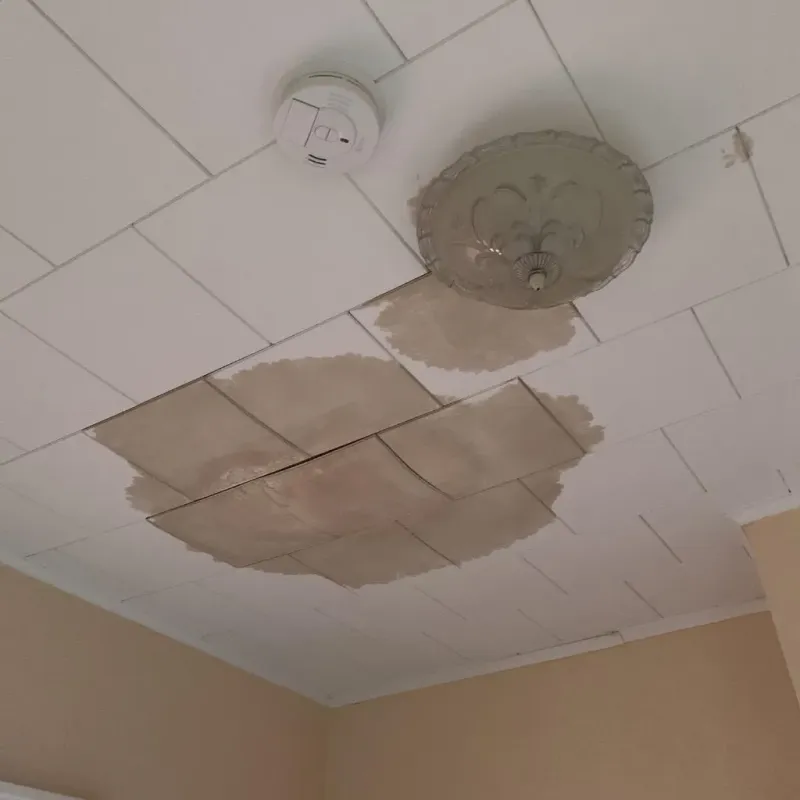 Ceiling Water Damage Repair in Laureldale, PA