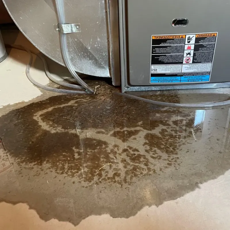 Pipe Burst and Leak Restoration in Laureldale, PA
