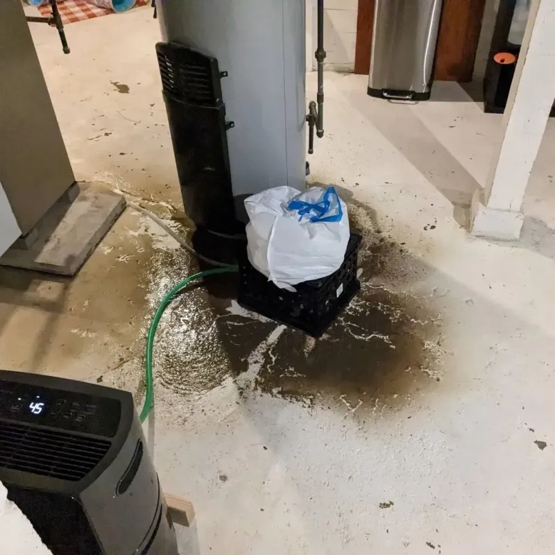 Sewage Backup Cleanup Service in Laureldale, PA